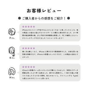 Piconizer4 1TB ピコナイザー ク...の詳細画像3