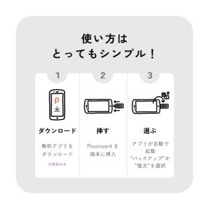 Piconizer4 1TB ピコナイザー ク...の詳細画像4