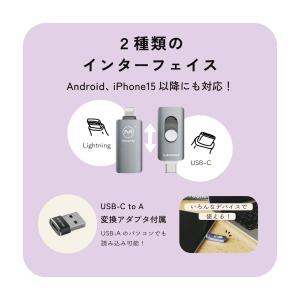 Piconizer4 1TB ピコナイザー ク...の詳細画像5