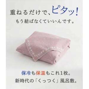 Makuake公式 お肉お弁当アイス、これ1枚...の詳細画像2