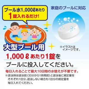 ジアラスター プール 除菌 タブレット 10錠...の詳細画像1