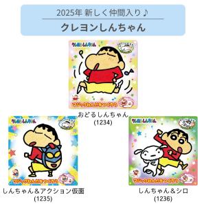 マジックねんど 選べる2個 名探偵プリキュア ...の詳細画像4