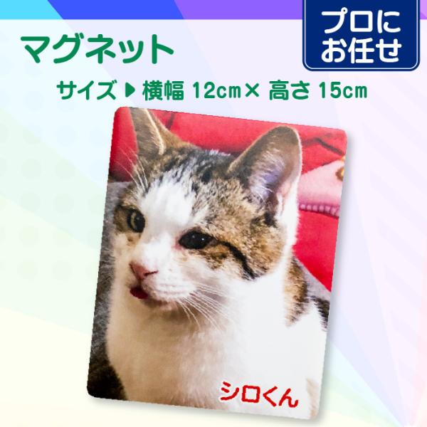 【プロにお任せ】オリジナルマグネット