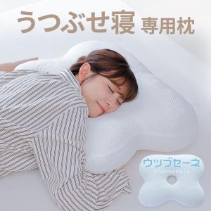 フランスベッド（FRANCEBED） フランスベッド正規品 ウミガメピロー