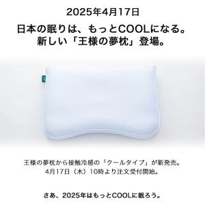 枕 ピロー 肩こり 王様の夢枕2 ストレートネ...の詳細画像1