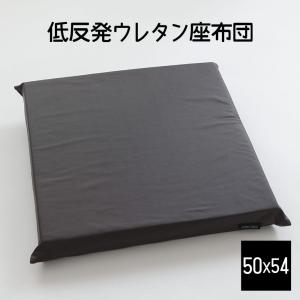 トゥルースリーパー（True Sleeper） 【正規品】新品 低反発座布団 45