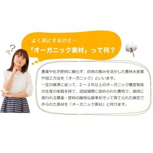 授乳クッション 授乳枕 妊婦 マタニティ 産後...の詳細画像5