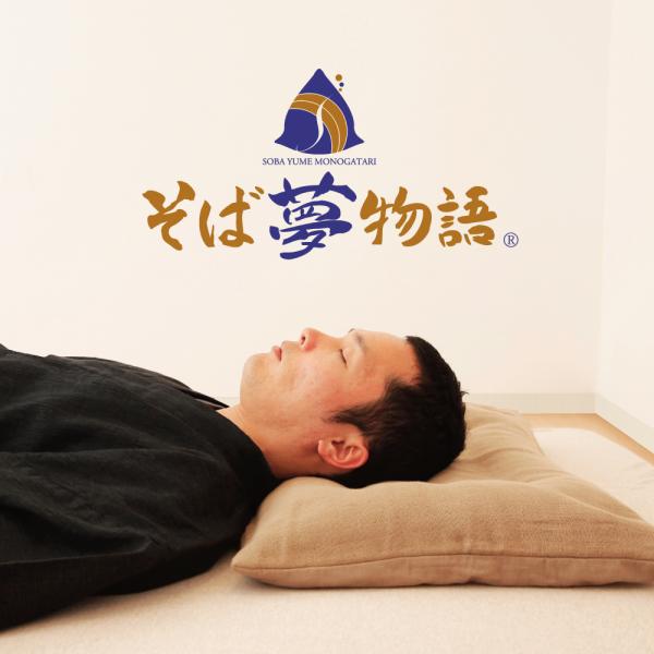 枕 そば殻 そばがら 通気性 冷感 ひんやり 男性 洗える 日本製 そば夢物語 まくら ピロー