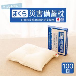 避難生活用品 防災グッズ 災害備蓄枕 災害 備え...の商品画像
