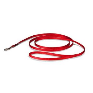 PetSafe ナイロンリード 犬 調整簡単 耐久性が高い ソフト 軽い 小型 犬 リード（幅1.0cm×長さ180cm レッド）