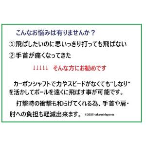 マレットゴルフセット スティック 5点 ランフ...の詳細画像3