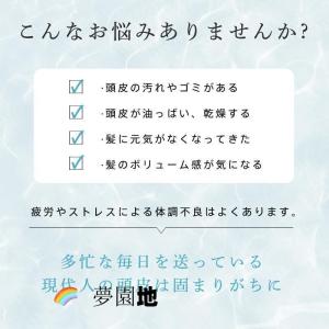 頭皮マッサージ機 ヘッドスパ 赤色LED EM...の詳細画像2