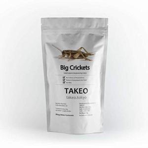 食用虫 昆虫 コオロギ15g タイ産 食品 入門 スナック TAKEO