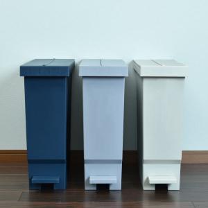 ゴミ箱 45リットル袋可 キッチン カウンター...の詳細画像1