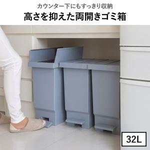 ゴミ箱 45リットル袋可 キッチン カウンター...の詳細画像3