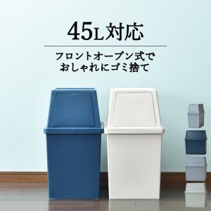 ゴミ箱 おしゃれ キッチン 45L袋可 フロントオープン 2段 積み重ね プッシュ フラップ フタ スリム 大容量 インテリア雑貨 北欧 平和工業 積み重ねゴミ箱 30L