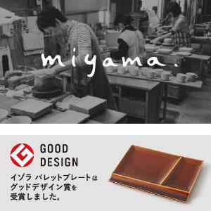 食器 皿 美濃焼 おしゃれ 仕切り ワンプレー...の詳細画像4