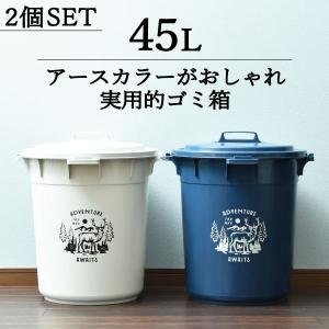 DULTON（ダルトン） ゴミ箱 ふた付き ダストボックス 40L ステンレス