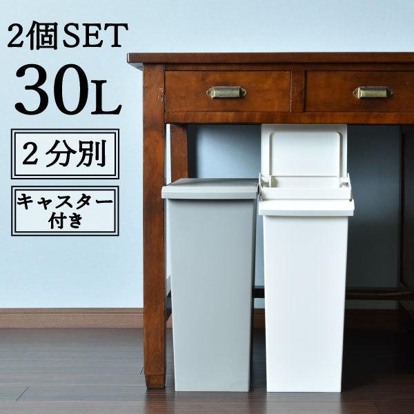 ゴミ箱 おしゃれ 分別 キッチン キャスター付き リビング 袋が見えない 蓋付き SOLOW ソロウ...