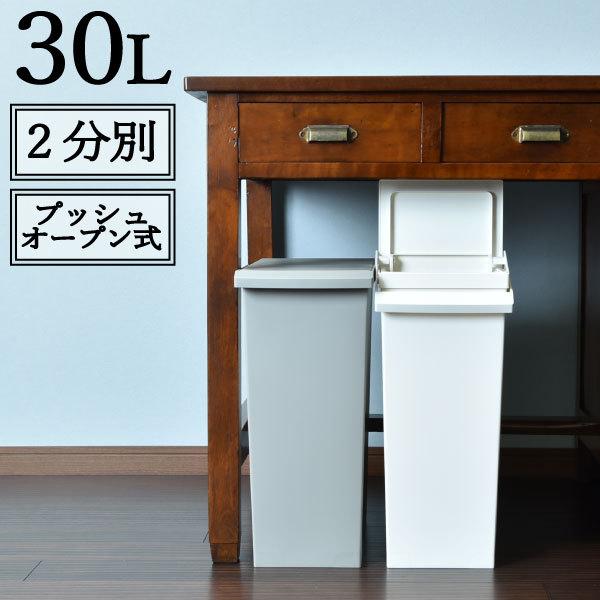 ゴミ箱 おしゃれ 分別 キッチン キャスター付き プッシュ式 リビング 袋が見えない 蓋付き SOL...