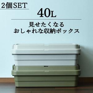 RISU（リス） 収納ボックス 大型 押し入れ収納 収納ケース コンテナ