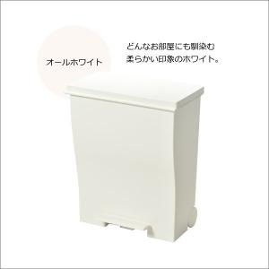 ゴミ箱 45リットル おしゃれ 分別 スリム ...の詳細画像3