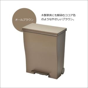 ゴミ箱 45リットル おしゃれ 分別 スリム ...の詳細画像5