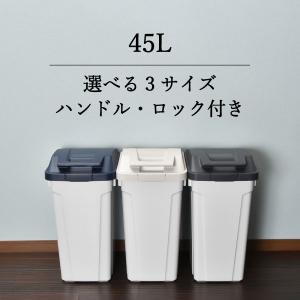 ゴミ箱 おしゃれ ダストボックス 45リットル キッチン用 分別 屋外 大容量 ふた付き ごみ箱 生ゴミ オムツ 日本製 アスベル ハンドル付 分別ペール 45L