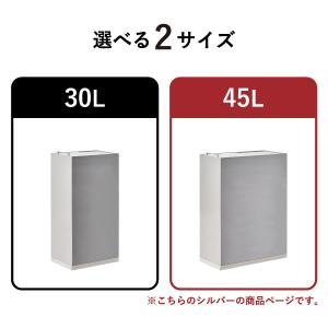 ゴミ箱 45リットル おしゃれ 約幅20cm ...の詳細画像2