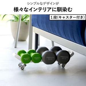 収納ラック おしゃれ スチール 幅50 リビン...の詳細画像5