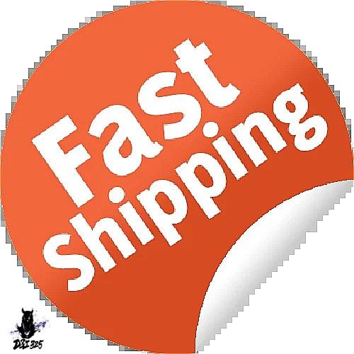 【互換品】 カスタム加工済 Nissan GT-R 2019連絡前注文しい価格 社外製