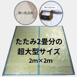 ビニールシート 使い捨て防汚シート 超大判 ビ...の詳細画像4