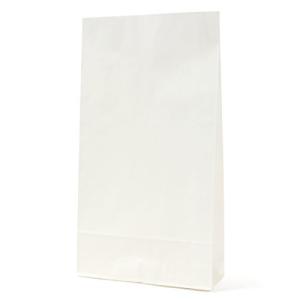 パックタケヤマ 紙袋 マチあり 角底袋 HB 晒 100枚 XZT00571