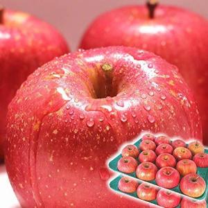 りんご 10kg箱 サンふじ ご家庭用 青森 10キロ箱 林檎の商品画像