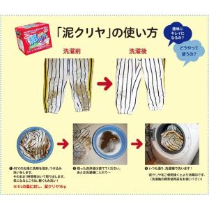 洗濯 洗剤 泥汚れ用 送料込み 「 泥クリヤ ...の詳細画像1
