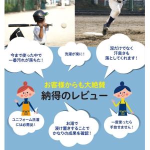 洗濯 洗剤 泥汚れ用 送料込み 「 泥クリヤ ...の詳細画像2