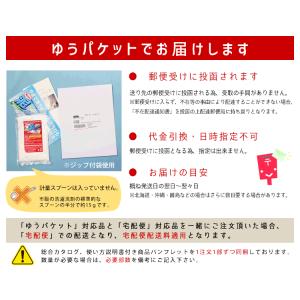 洗濯洗剤 泥汚れ専用「泥クリヤ 80g」 野球...の詳細画像1