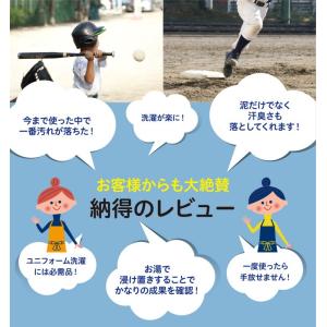 洗濯洗剤 泥汚れ 専用 「泥クリヤ mini ...の詳細画像3