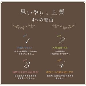 手 肌 やさしい 食器用洗剤 「 Chlori...の詳細画像3