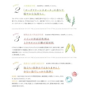 手肌にやさしい 食器用洗剤 1000ml クロ...の詳細画像5