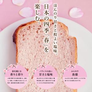 【在庫限り特価販売】 春季限定 ママパン もっ...の詳細画像3