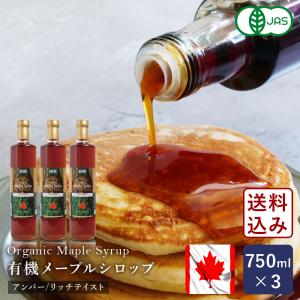 カナダ産メープルシロップ ( 250g ) : 爽快ドラッグ - 通販 - Yahoo