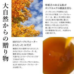 オーガニックメープルシロップ アンバー/リッチ...の詳細画像4