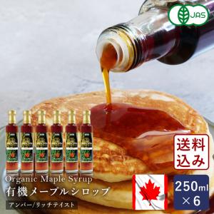 オーガニックメープルシロップ アンバー/リッチテイスト 250ml×6 シロップ 有機JAS カナダ産 グレードA 送料無料 【沖縄は別途追加送料必要】