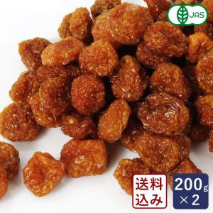 送料込み 有機JAS 有機ドライゴールデンベリー（インカベリー） ペルー産 200g×2 オーガニック 食用ホオズキ【ゆうパケット／送料無料】 ママパン