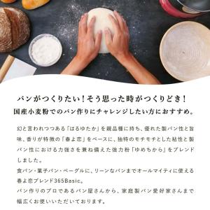 春よ恋ブレンド365Basic 2.5kg 強...の詳細画像2