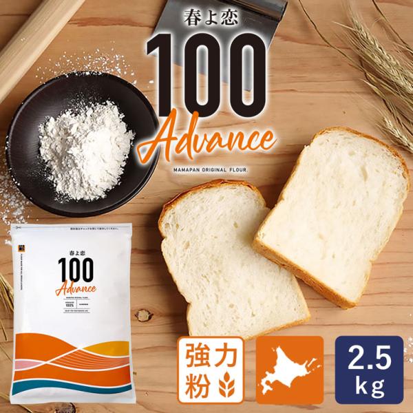 強力粉 春よ恋100Advance 北海道産パン用小麦粉 2.5kg 国産小麦粉 パン作り