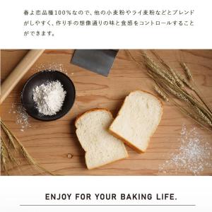 春よ恋100Advance 2.5kg 強力粉...の詳細画像5
