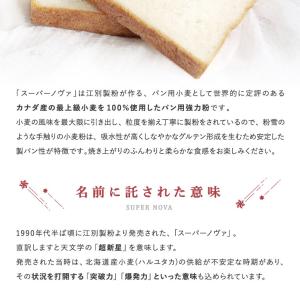 スーパーノヴァ(1CW)2.5kg 強力粉 パ...の詳細画像2