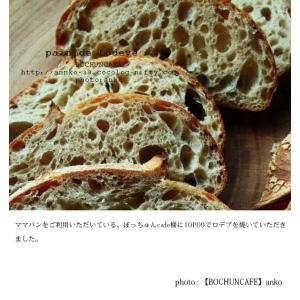 準強力粉 北海道産フランスパン用小麦粉 10P...の詳細画像3
